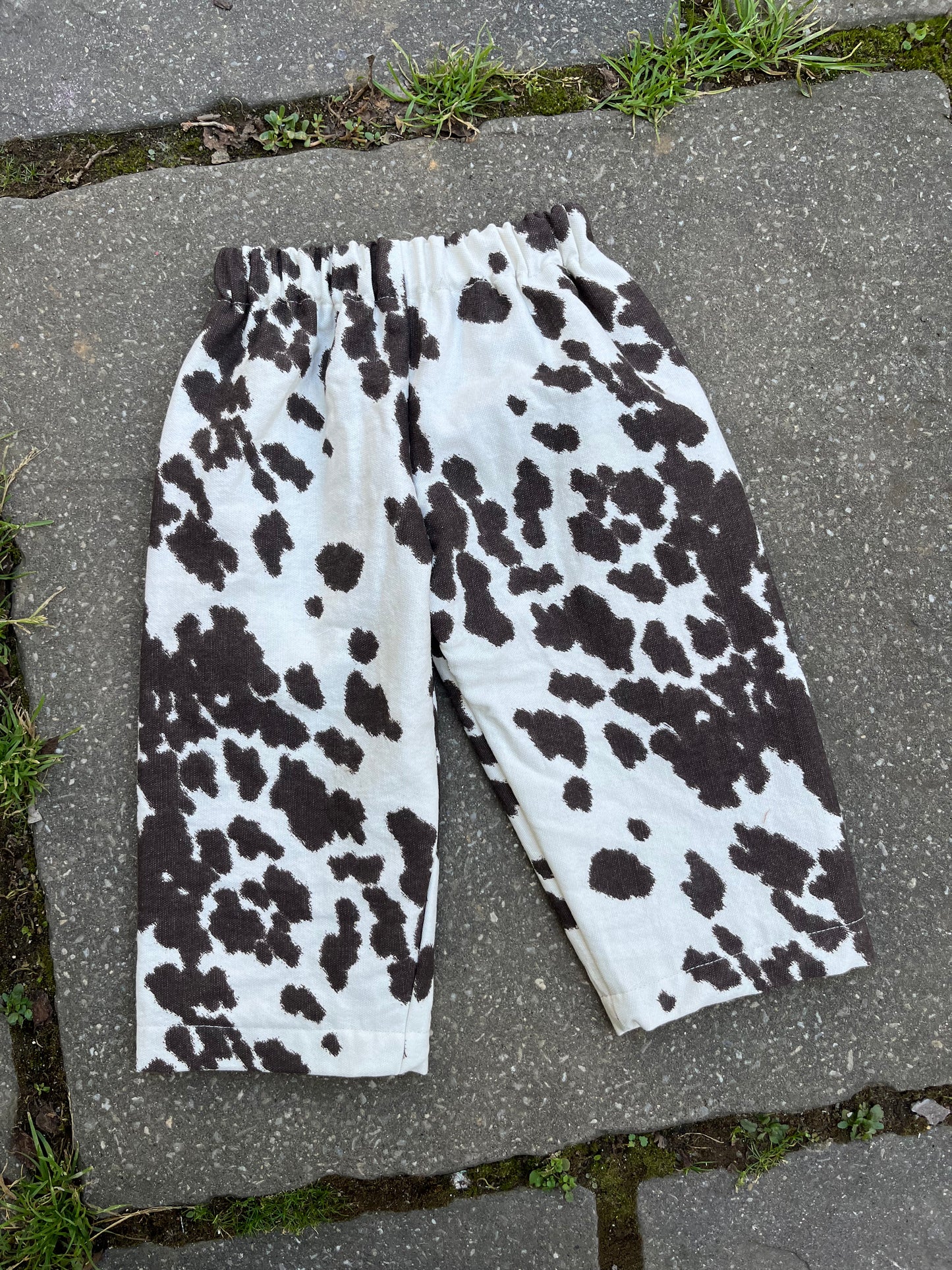 Canvas cow pants - 2t